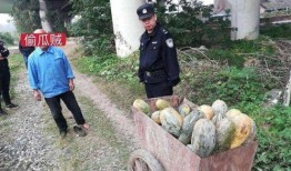 菏泽郓城吃瓜最新事件爆料,最新爆料揭示惊人内幕